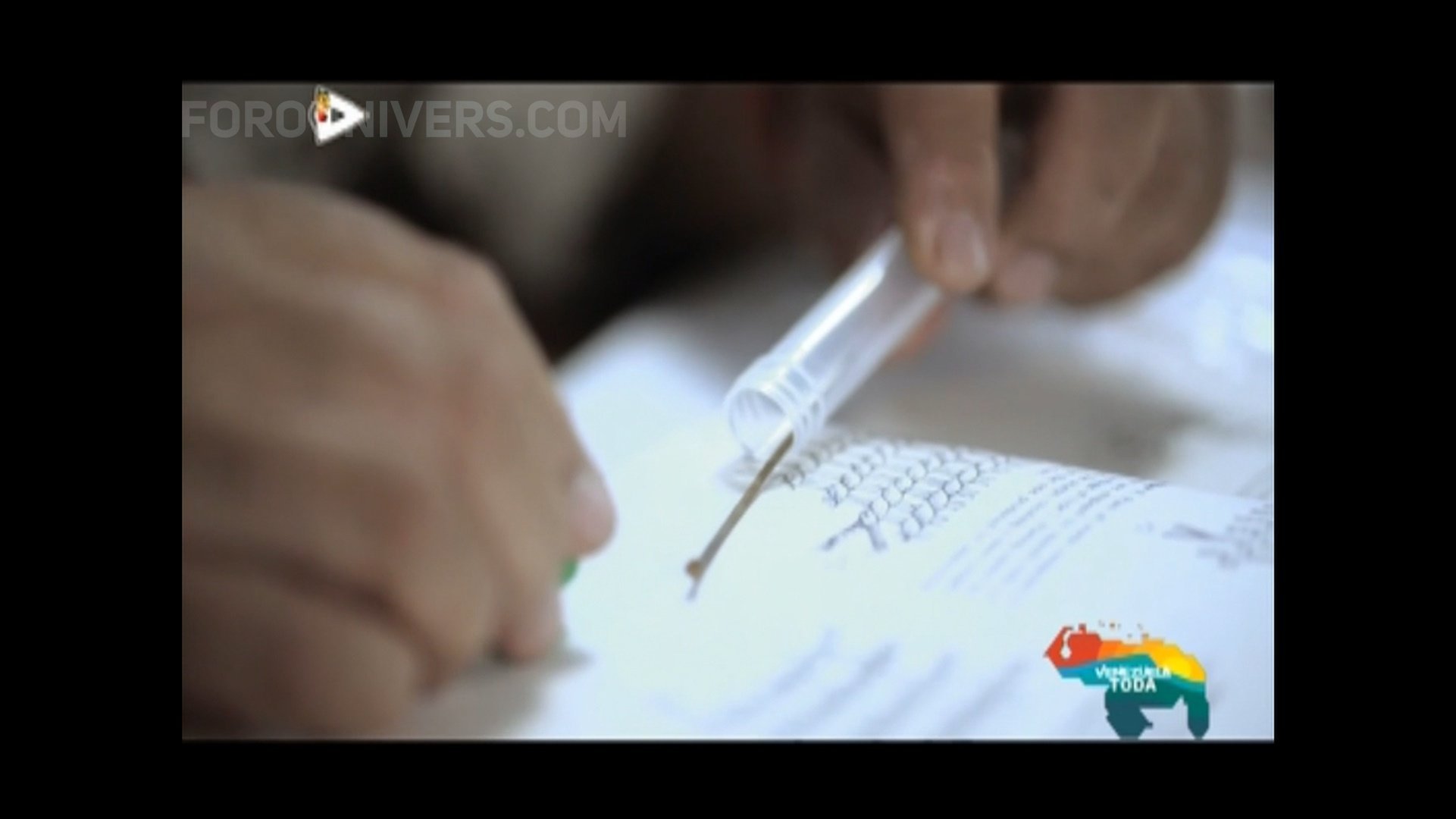 LEPS Navideños y de Año Nuevo | Edición 2023